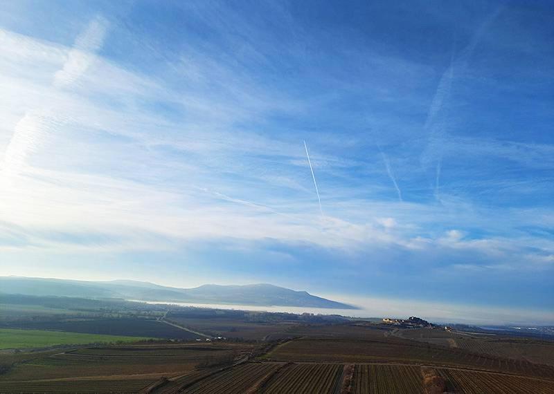 Sklep Vino Strycek Casa di campagna Velké Bílovice